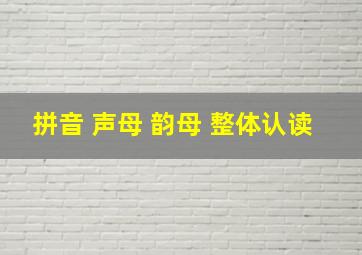 拼音 声母 韵母 整体认读